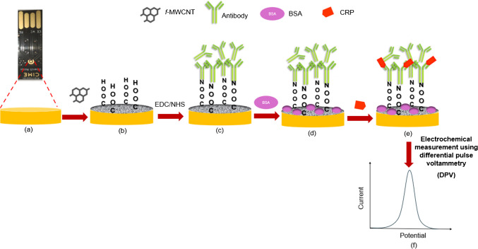 A label-free electrochemical immunosensor on gold-printed electrode for the electrochemical detection of C-reactive protein from blood samples.
