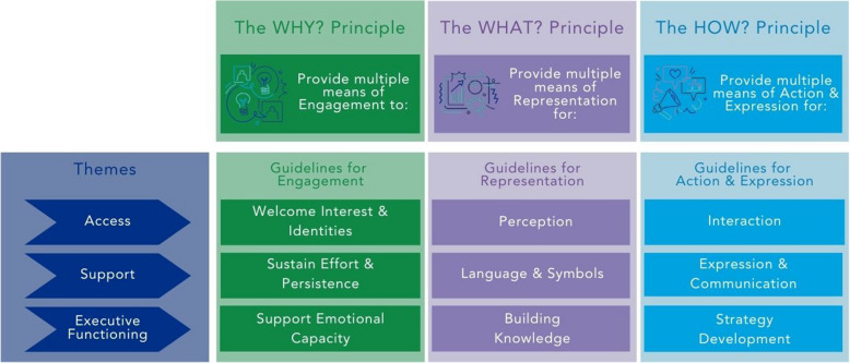 Universal Design for Learning (UDL) in simulation-based health professions education.