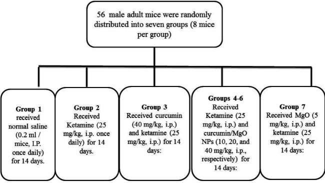 Protective effects of curcumin/magnesium oxide nanoparticles on ketamine-induced neurotoxicity in the mouse hippocampus.