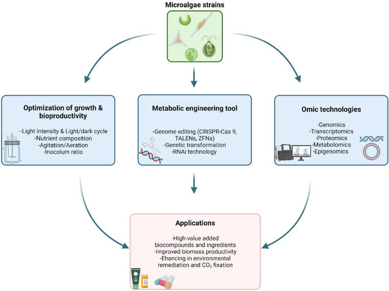 Progress and prospects in metabolic engineering approaches for isoprenoid biosynthesis in microalgae