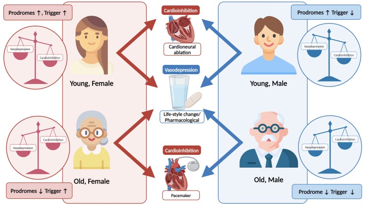 Age and sex differences in vasovagal syncope: triggers, clinical presentation, prodromal symptoms, and head-up tilt test results.