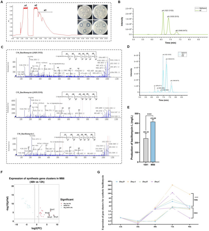 Improving the bacillomycin L production in Bacillus amyloliquefaciens by atmospheric and room-temperature plasma combined with Box-Behnken design.