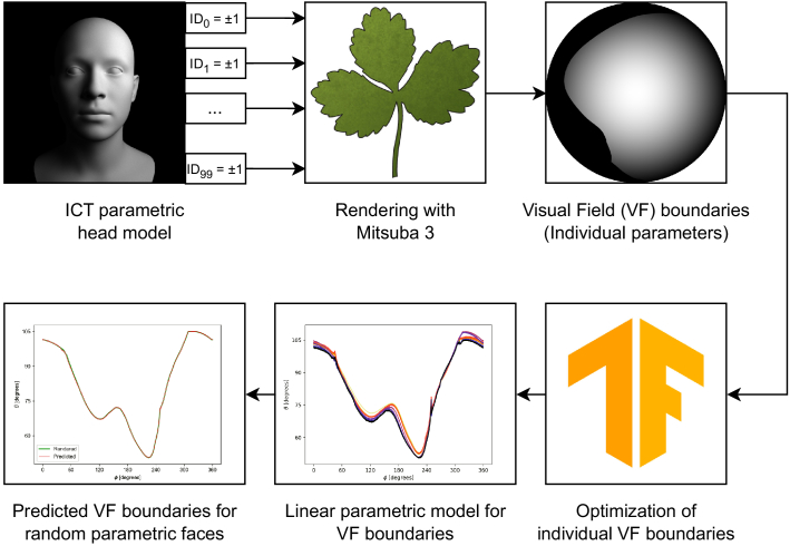 Predicting visual field boundaries from head features.