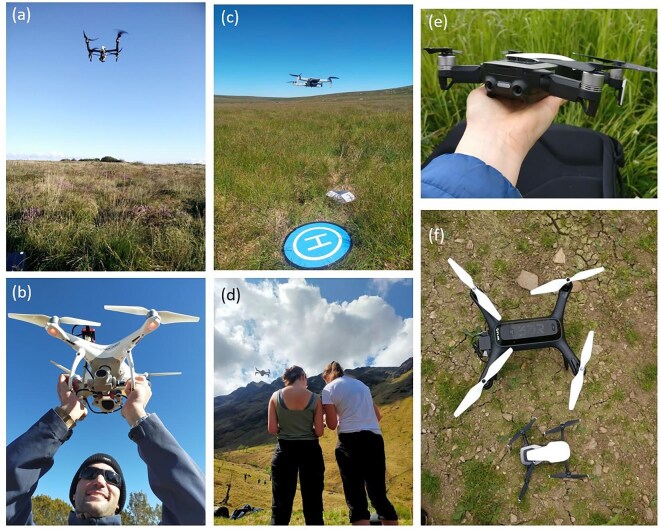Drones in ecology: ten years back and forth.