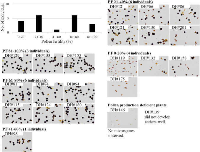 Fertile interspecific diploid hybrids between the Asian and African rice species facilitated by tetraploidization and its reduction.
