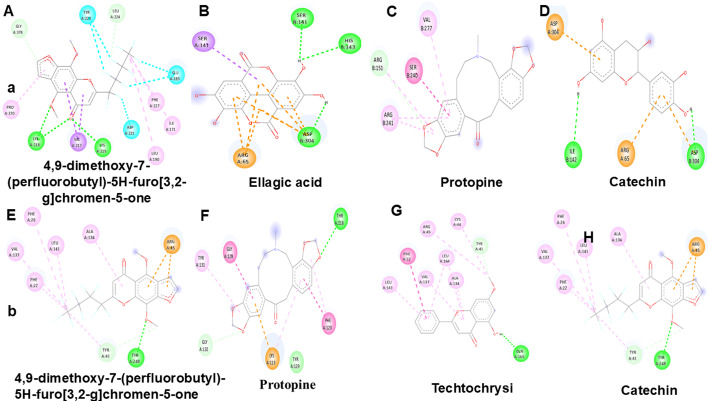 Camellia sinensis mediated silver nanoparticles: eco-friendly antimicrobial agent to control multidrug resistant Gram-positive Staphylococcus aureus.