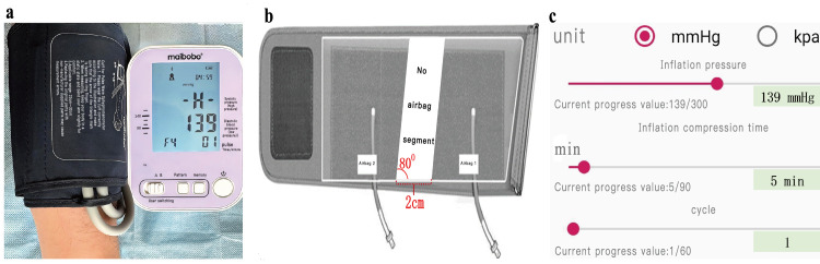 Effect of Hyperperfusion on Successful Collection of Arterial Blood Gas Specimens in Patients With Acute Heart Failure.
