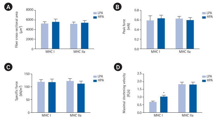 Impact of Physical Activity Level on Whole-Body and Muscle-Cell Function in Older Adults.