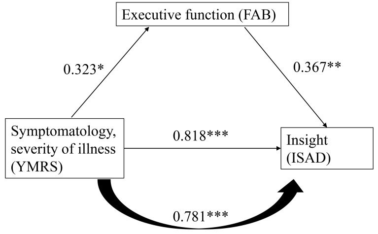 Factors Associated With Insight Toward Illness in Patients With Bipolar Disorder Type 1 in Manic Episodes.