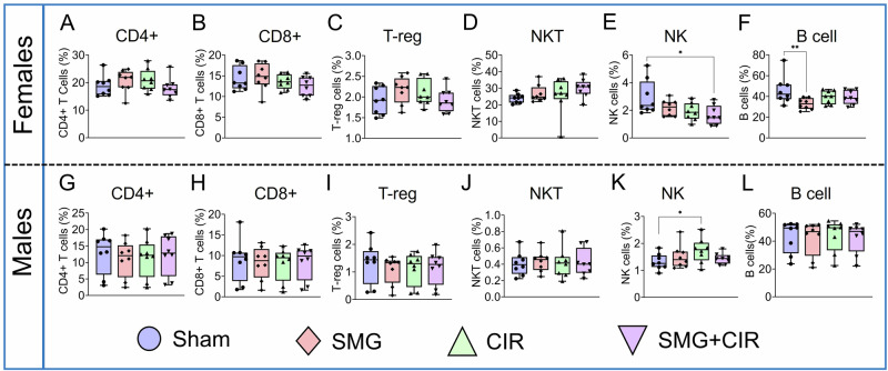 Sex-specific immune alterations in mice following long-term simulated microgravity and chronic irradiation.