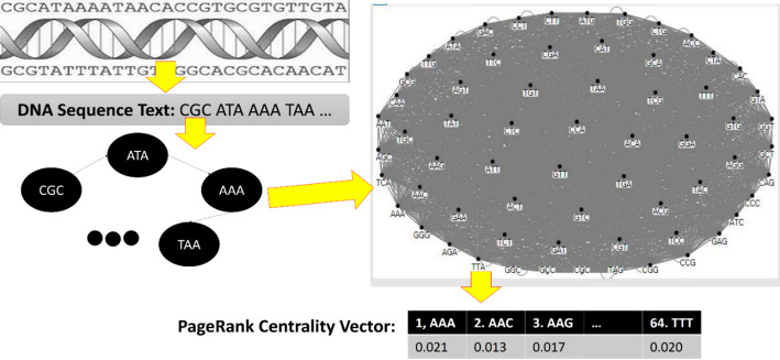 PRCFX-DT: a new graph-based approach for feature selection and classification of genomic sequences.
