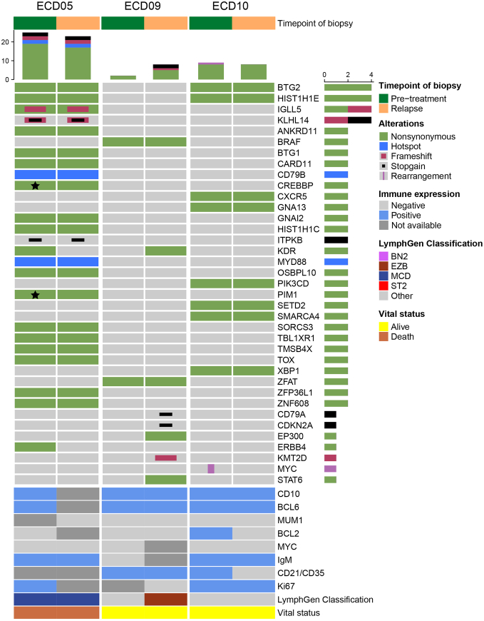IgM Immunohistochemical Expression is a Potential Risk Factor for Extracutaneous Dissemination in Patients With Primary Cutaneous Follicle Center Lymphoma.