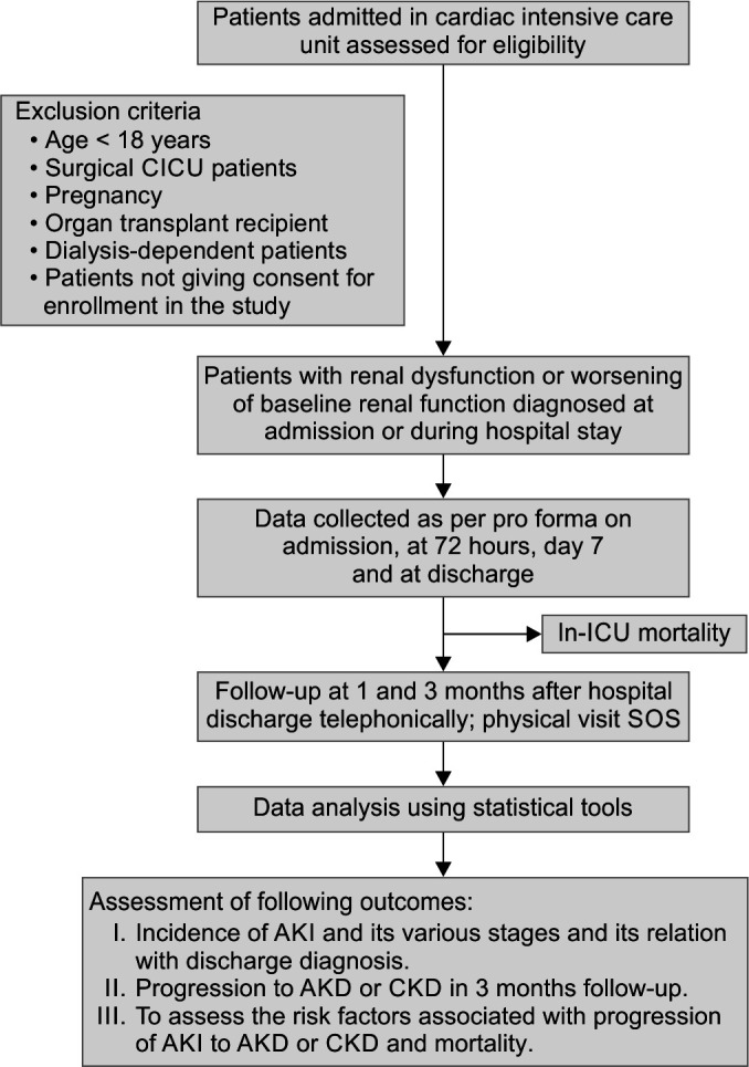 Spectrum and Outcome of Acute Kidney Injury in Nonsurgical Cardiac Intensive Care Unit Patients: A Prospective Observational Study.