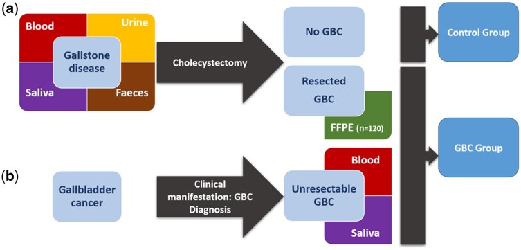 Data Resource Profile: EULAT Eradicate GBC: the European-Latin American Research Consortium towards Eradication of Preventable Gallbladder Cancer.