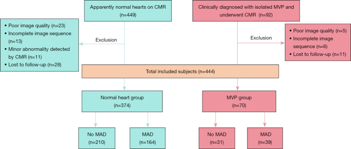Characteristics and clinical implication of mitral annular disjunction in apparently normal hearts: a cardiac magnetic resonance study.