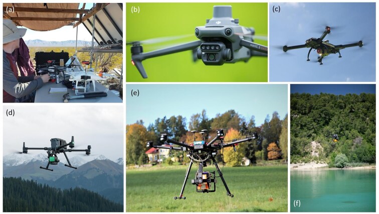 Drones in ecology: ten years back and forth.