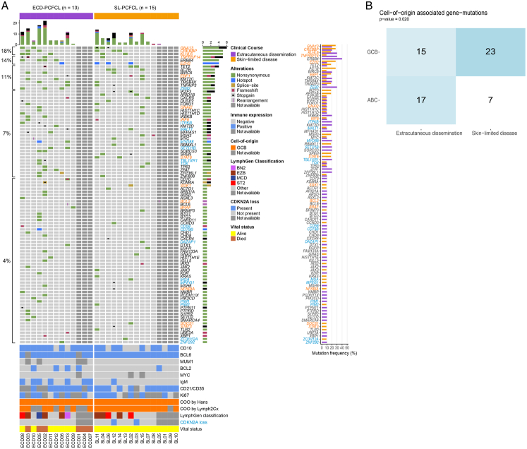 IgM Immunohistochemical Expression is a Potential Risk Factor for Extracutaneous Dissemination in Patients With Primary Cutaneous Follicle Center Lymphoma.