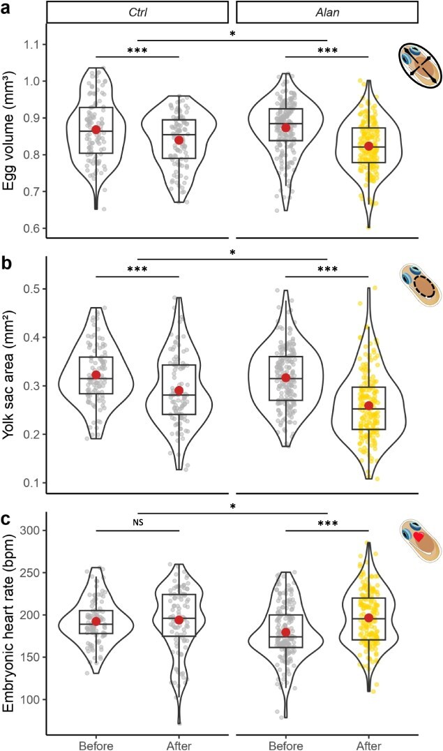 Artificial light at night during early development directly affects embryonic but not larval quality in a wild coral reef fish.