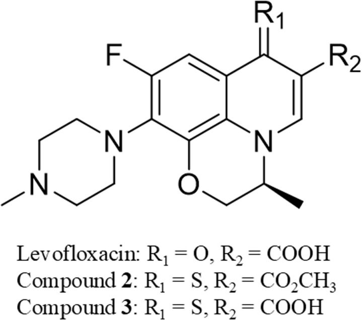 Thionated levofloxacin derivative: Potential repurposing for cancer treatment and synergism with doxorubicin on doxorubicin-resistant lung cancer cells.