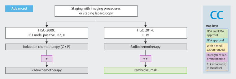 Update Gynecologic Malignancies 2025 - Expert Opinion on Systemic Therapy for Early and Advanced Gynecological Cancers.