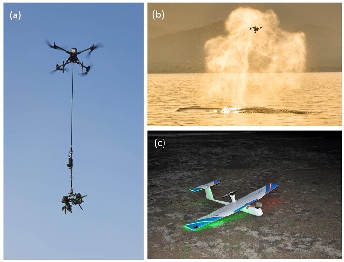 Drones in ecology: ten years back and forth.