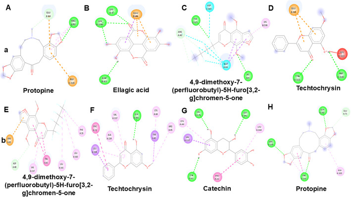 Camellia sinensis mediated silver nanoparticles: eco-friendly antimicrobial agent to control multidrug resistant Gram-positive Staphylococcus aureus.