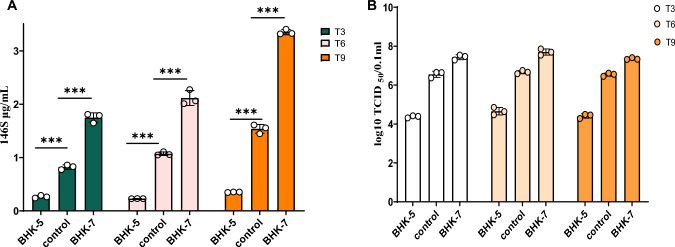 The impact of <sup>12</sup>C<sup>6</sup> heavy ion irradiation-induced cellular mutations on the replication of the foot-and-mouth disease virus and the role of Cbr3.
