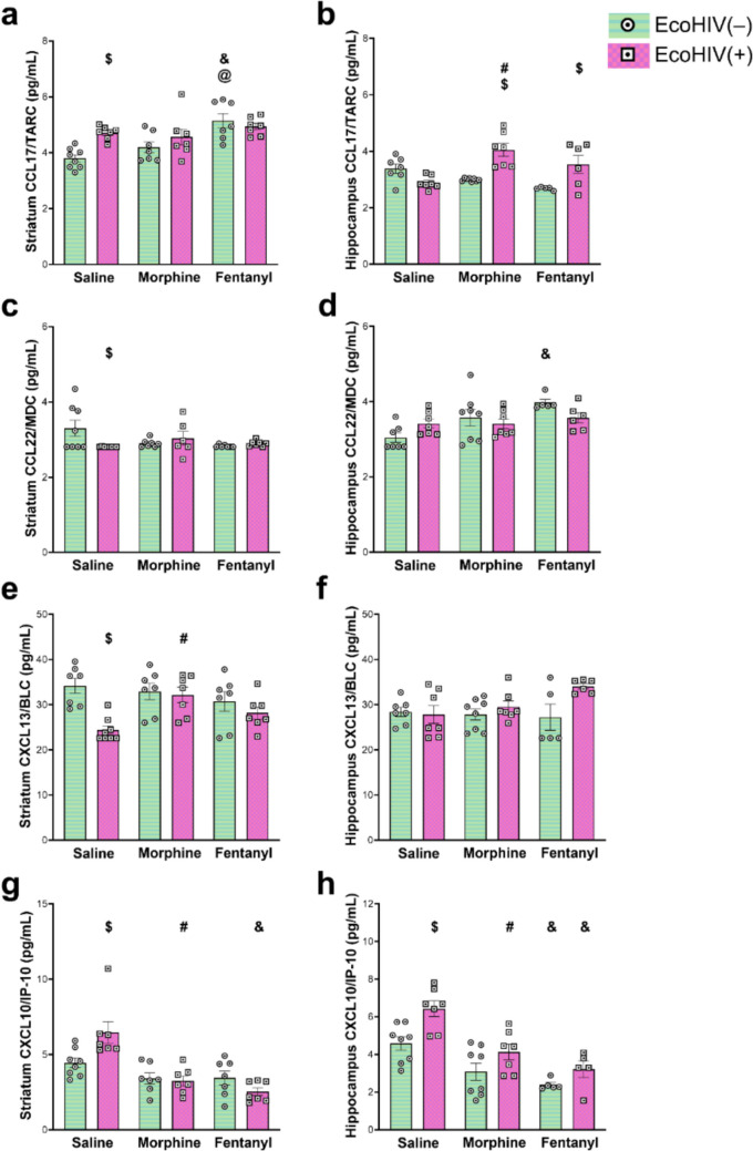 Differential effects of fentanyl compared to morphine on neuroinflammatory signaling in the brain in EcoHIV-infected mice.