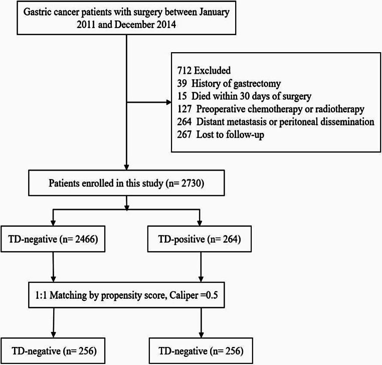 Evaluating the prognostic significance of tumor deposits in gastric cancer and strategies for their integration into the TNM staging system: a single-center retrospective study.