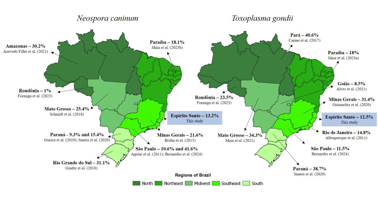 Anti-Neospora caninum and anti-Toxoplasma gondii antibodies in cattle intended for human consumption in the State of Espírito Santo, Brazil: prevalence and associated factors.