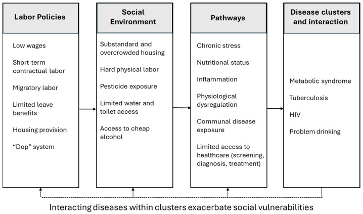 Occupational Syndemics in Farmworkers in the Cape Winelands, South Africa.