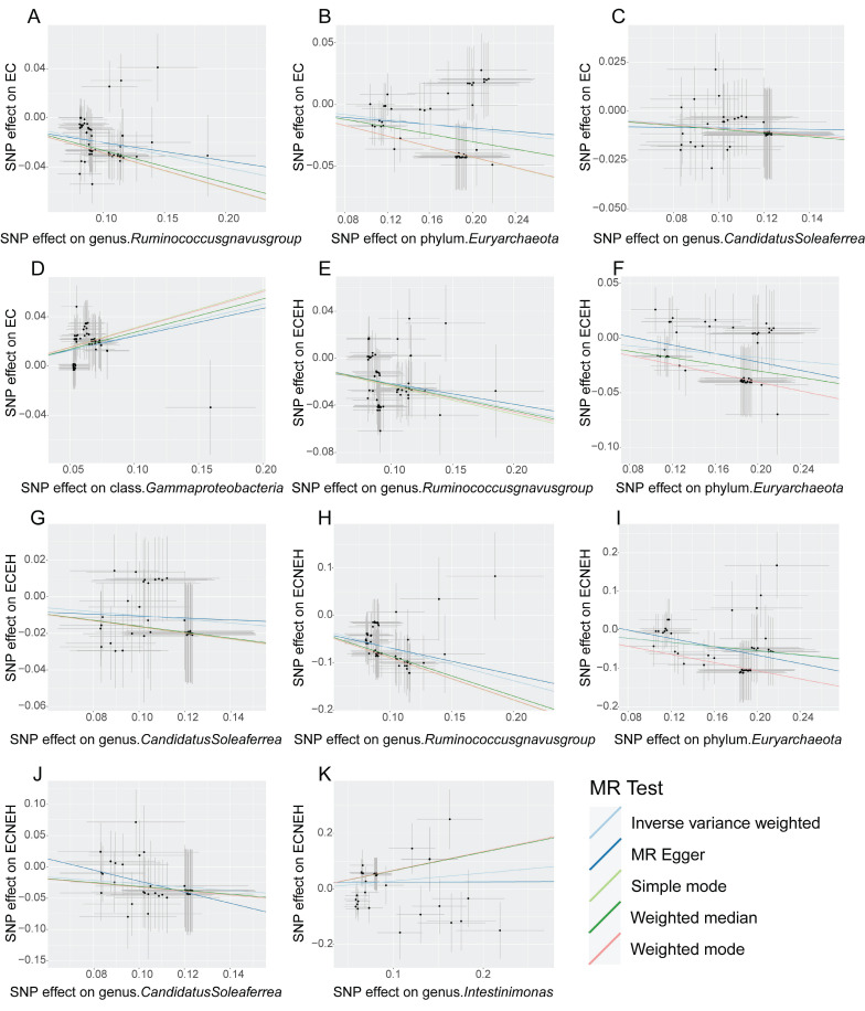 Causal Relationship between Gut Microbiota and Endometrial Cancer: A Two-Sample Mendelian Randomization Study.