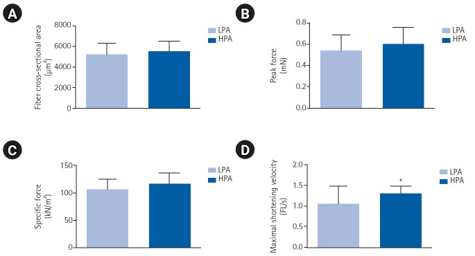 Impact of Physical Activity Level on Whole-Body and Muscle-Cell Function in Older Adults.