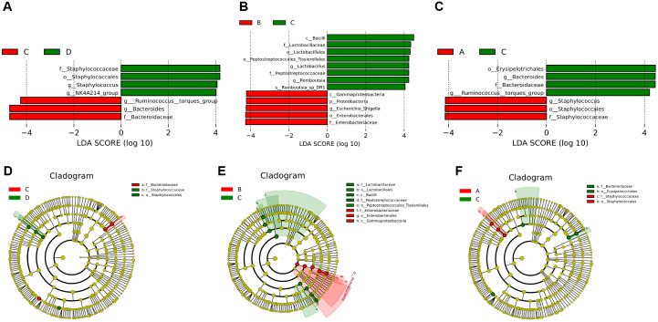 Modified Renshen Wumei Decoction Improves Qi-Yin Deficiency Diarrhea by Regulating the Gut Microbiotas and Metabolites in Rats.