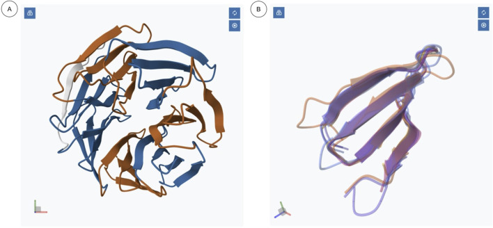 ngx-mol-viewers: Angular components for interactive molecular visualization in bioinformatics.