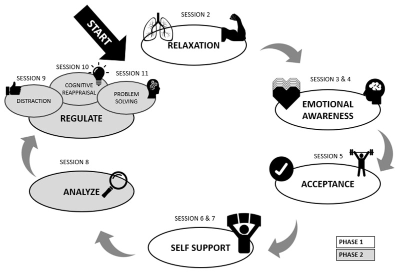 A Single Case Evaluation of an Emotion Regulation Training in Adolescents.