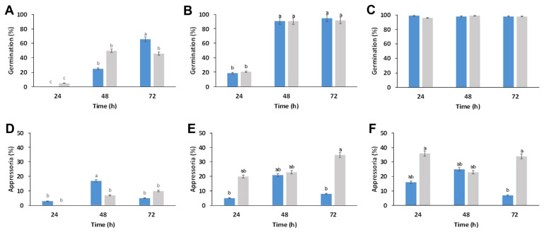 Sweet Pepper cv. Lai Lai Ripeness Stage Influences Susceptibility to Mycotoxinogenic Alternaria alternata Causing Black Mold.
