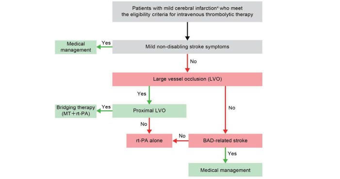Effectiveness and Limitations of Intravenous rt-PA Therapy in Patients with Mild Cerebral Infarction.