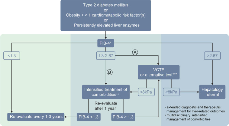 Key takeaways from the updated multidisciplinary European MASLD guidelines.