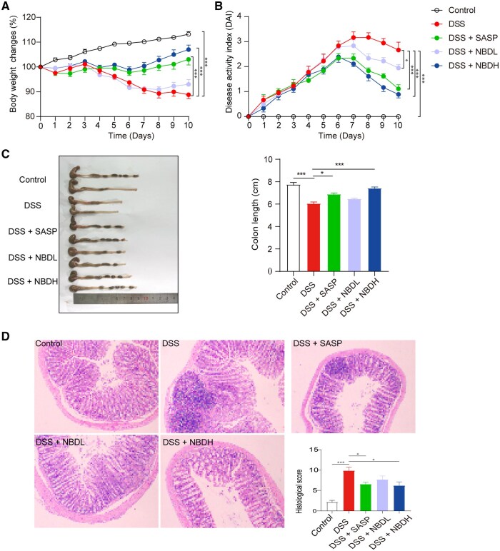 New Baitouweng Decoction alleviated DSS-induced colitis through the FXR/NLRP3 signaling pathway by regulating gut microbiota and bile acids.