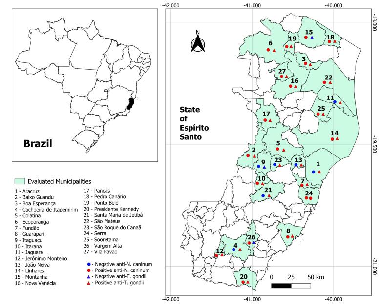 Anti-Neospora caninum and anti-Toxoplasma gondii antibodies in cattle intended for human consumption in the State of Espírito Santo, Brazil: prevalence and associated factors.