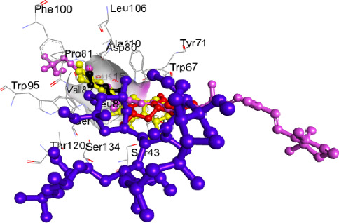 <i>In Silico</i> Bioprospection of <i>Daniellia oliveri-</i>Based Products as Quorum Sensing Modulators of <i>Escherichia coli</i> SdiA.
