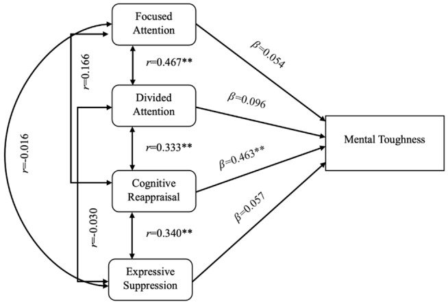 The relationship between attention control, emotion regulation and mental toughness among competitive female cricketers.