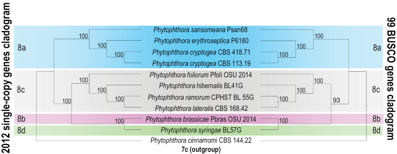 ﻿Characterisation of the genome and secretome of <i>Phytophthoracryptogea</i> and <i>P.erythroseptica</i>.
