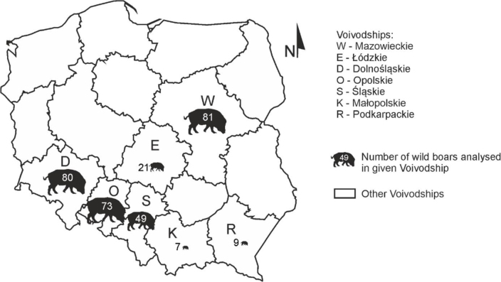 Serological survey and associated risk factors of Aujeszky's disease virus in wild boar from south and central Poland.