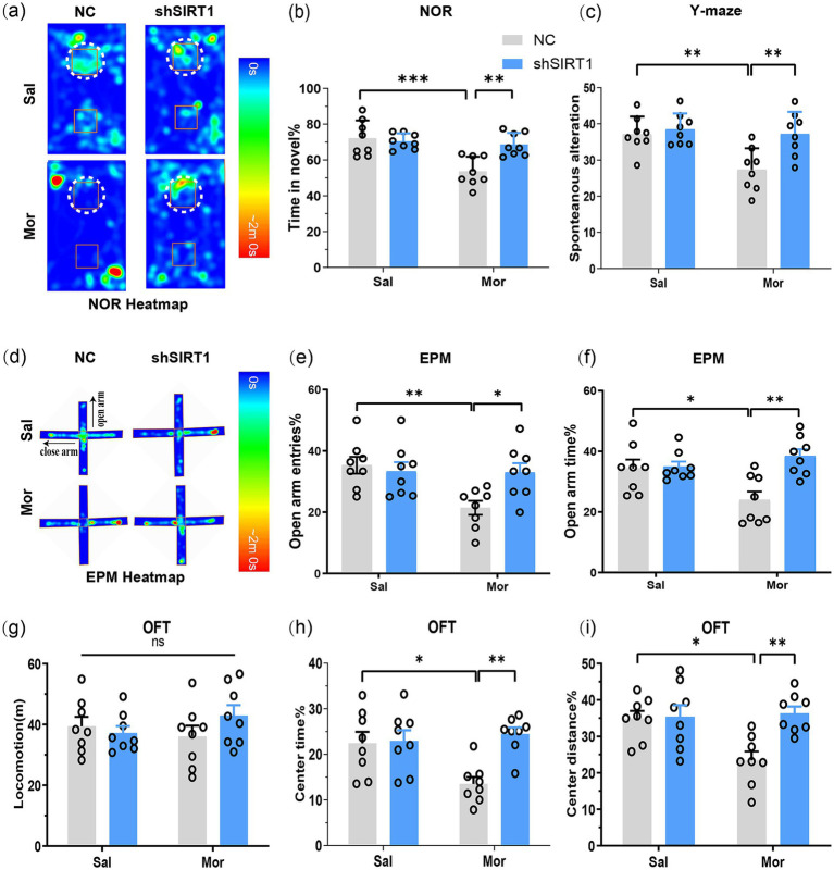 Knockdown and overexpression of basolateral amygdala SIRT1 via AAV bidirectionally alter morphine-induced conditioned place preference extinction in mice.