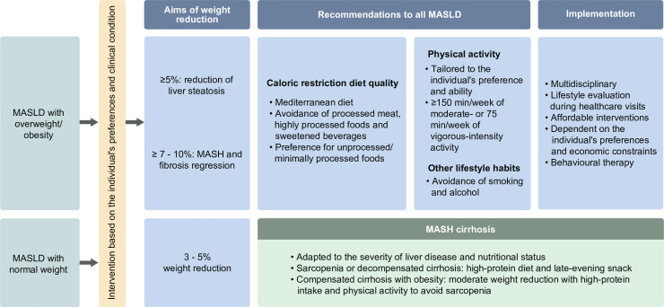 Key takeaways from the updated multidisciplinary European MASLD guidelines.