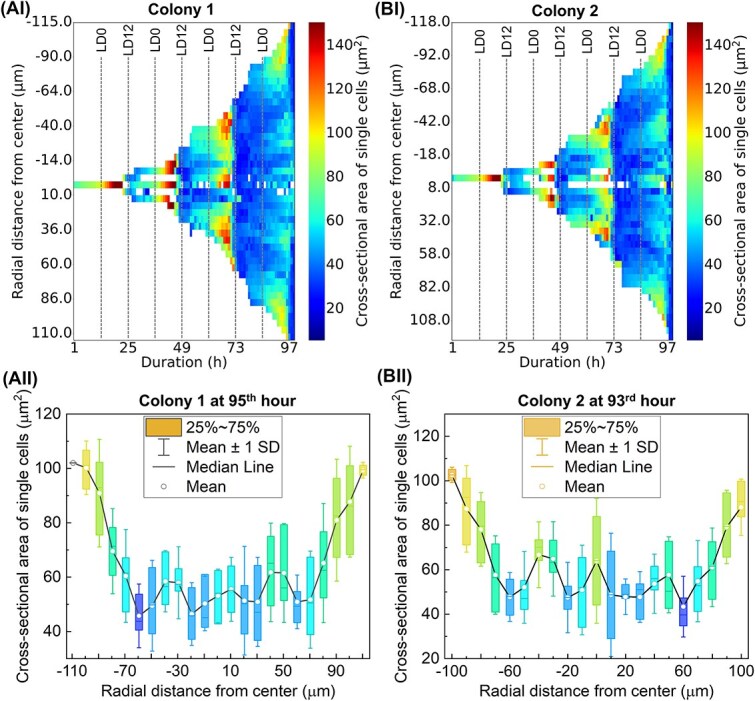 Uncoupling growth and division in <i>Chlamydomonas reinhardtii</i> colonies: consistent cell cycle regulation under confinement.