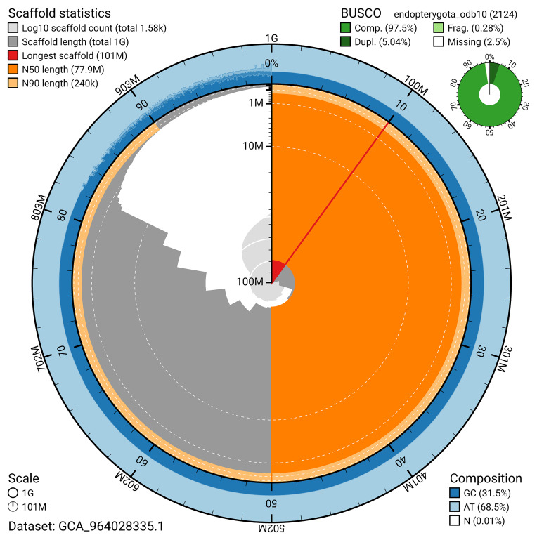 The genome sequence of a flea beetle, <i>Altica lythri</i> Aubé, 1843.