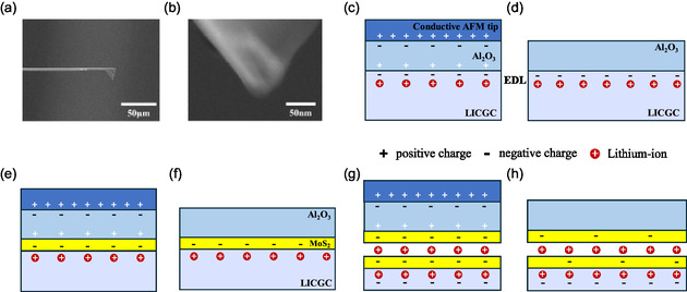 Air-Stable Lithiation of MoS<sub>2</sub> for Direct-Bandgap Multilayers.